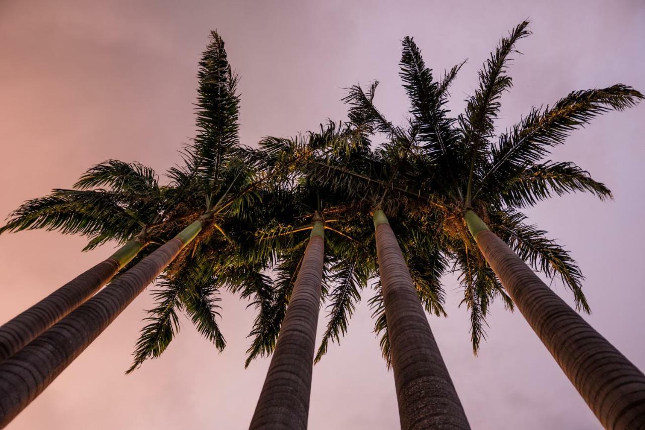 Pousada Villa Das Pedras Pirenópolis エクステリア 写真